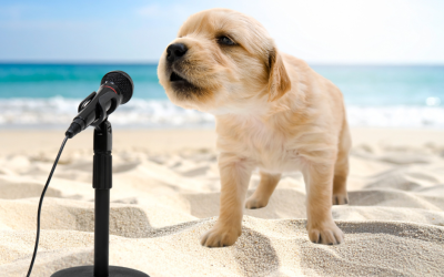 OCTOBER 2025 | MICHELE ROBERTSON